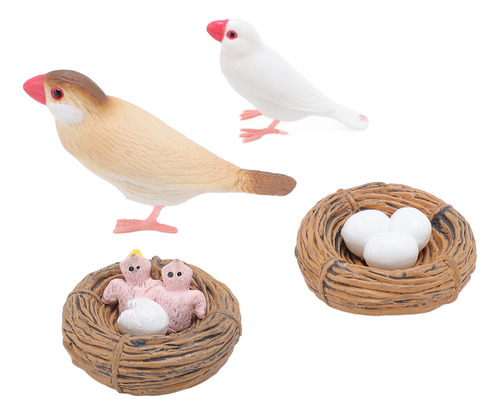 Figuras Educativas De Pvc Sobre El Ciclo De Vida De Aves, 4