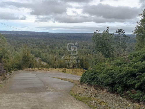 Parcela De 5000m2, Con Rol Propio D1, En Carretera Austral