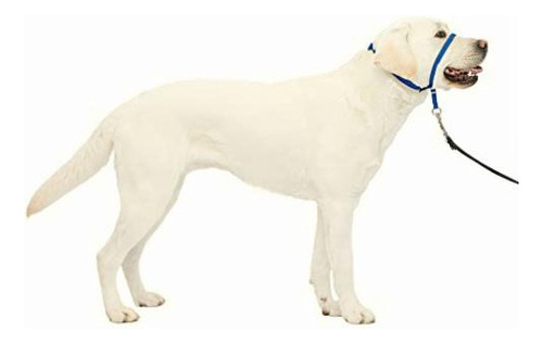 Petsafe Gentle Leader Collar Para Perro, Sin Tirones, Azul Color Azul Royal