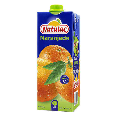 Jugo Néctar De Naranjada Natulac Tetra Brik 500ml