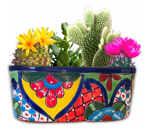 Maceta Rectangular Flores De Colores Hermosa