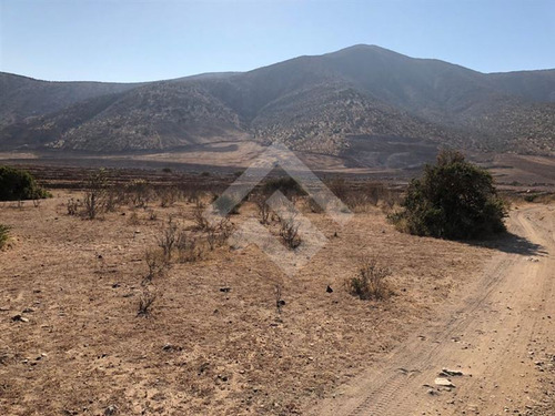 Agrícola En Venta En Andacollo