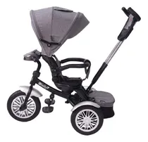 Comprar Triciclos Para Bebes Y Niños Capota Arnes Zoe Nuevos Usb