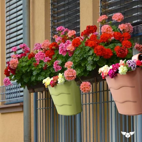 Maceta Colgante Plastica Balcon Baranda Colores