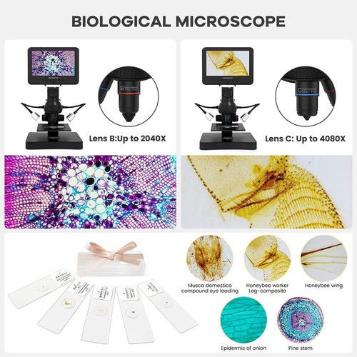 Imagen 7 de 10 de Microscopio Andonstar Ad246sp Hdmi 3 Lentes Biologia Electro