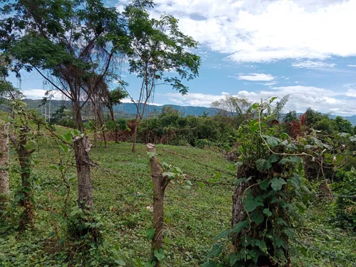 Linda Finca Que Hace Parte De Una Mas Grande, Para Inversionista Es Sub Urbana