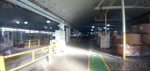 Imagen 4 de 30 de Nave Industrial - El Palomar