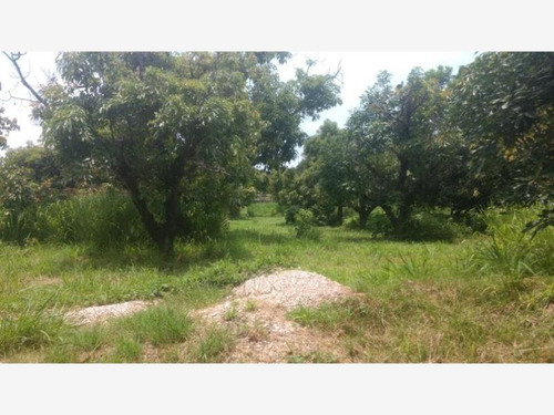 Imagen 1 de 12 de Terreno En Venta Ixtlahuacan