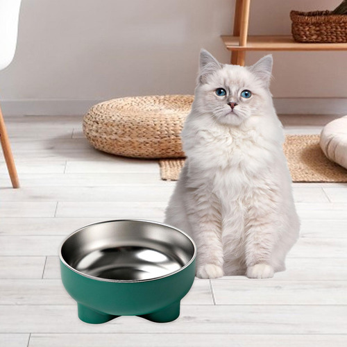 Tazón De Gato Tazón De Comida Que Come Sin Verde