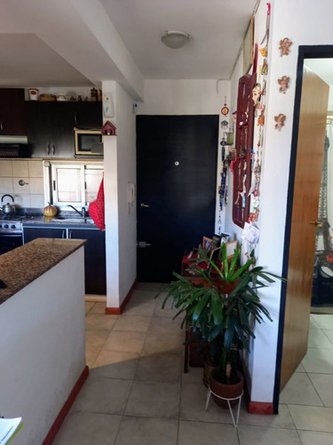 Imagen 5 de 17 de Departamento En Venta En Piñeiro