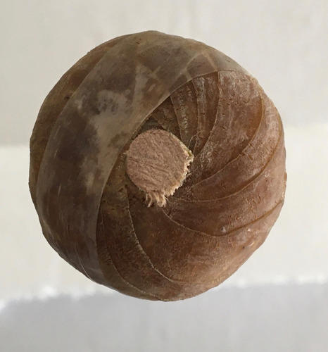 Baqueta Para Marimba 4ta, De Caucho Natural Nueva 1 Pza (Usado)