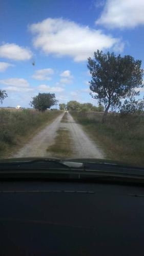 Imagen 3 de 8 de Campo - Punta Indio