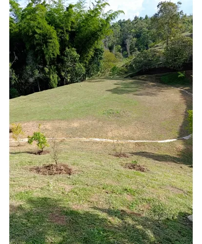 Lote Sector Las Cuchillas, Rionegro
