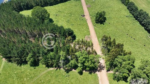Imagen 15 de 15 de Parcelas Con Acceso A Rio - Robles Del Rahue