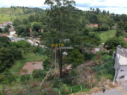Terreno Para Venda Em Santana De Parnaíba, Chácara Do Solar Ii (fazendinha) - 20900_1-1749162
