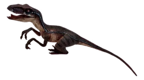 Dinosaurio Velociraptor Detallado Brazos Y Mandíbula Móviles