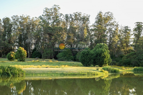 Golf, A Solo 1000m Del Mar. Parada 22 De La Brava.