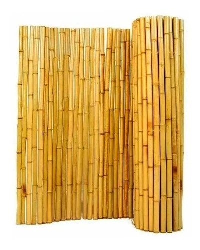 Panel Cañas Bambú Tacuara 100x100 Cm Pérgola