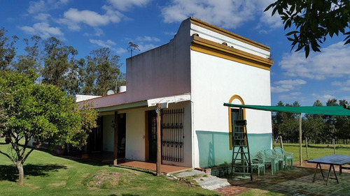 Las Pircas Espectacular Olivar 46ha A Minutos De Punta Del Este