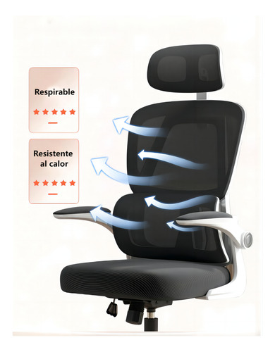 Silla Oficina Escritorio Ergonómica Soporte Lumbar Separado Blanco Con Gris Algodón
