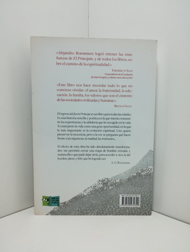 El Regreso Del Joven Príncipe - A. G. Roemmers (ed. 2011) (Usado)