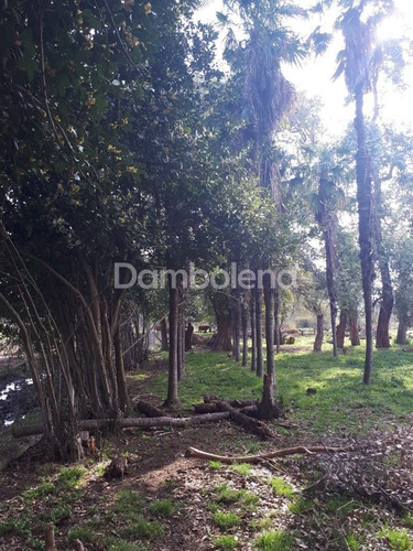 Imagen 5 de 7 de Terreno Campo En Venta Ubicado En General Rodríguez, G.b.a. Zona Oeste