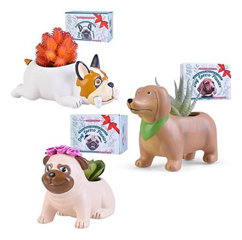 Set De Macetas De Cerámica Forma De Perro, Regalos D