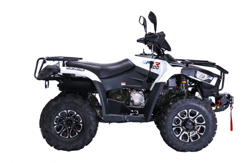 Imagen 4 de 11 de Cuatrimoto Plr 300cc 4x4 Con Bajo Automatica