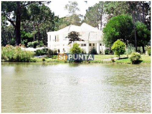Imagen 6 de 30 de Apartamento En Alquiler Anual
