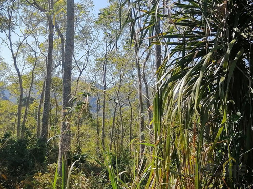 Se Vende Terreno En La Concepción Veracruz