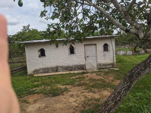 Imagen 11 de 11 de Venta De Finca En Tinaquillo Estado Cojedes Cod. 12604 Hm 04245552216