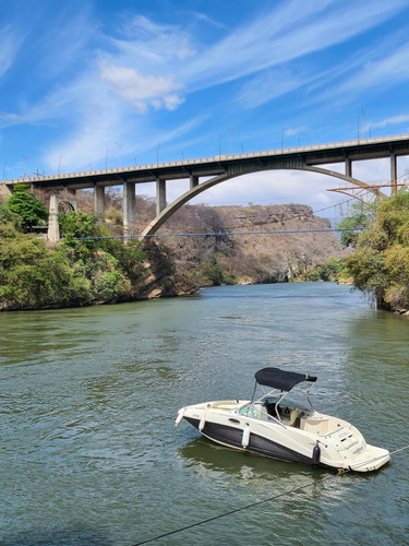Lancha Sea Ray 260 Sundeck
