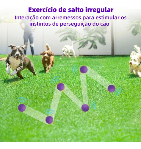 bolinha pet Brinquedo que Chia Cães interativa Momovida Dt- 15 Cor Roxo