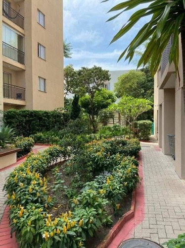 Imagem 8 de 16 de Apto Na Penha Com 2 Dorms, 1 Vaga, 51m² - Ap13959