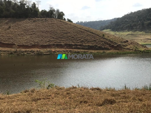 Imagem 3 de 15 de Fazenda - Zona Rural - Ref: 5241 - V-mta5241