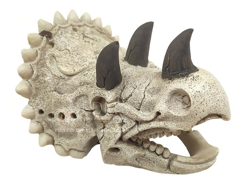 Enfeite De Resina Esqueleto Cabeça De Triceratops Pq - Soma