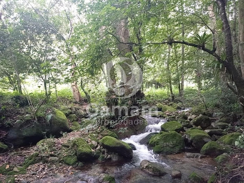 Terreno En Venta En El Texme Con Centro Ecoturistico Operativo