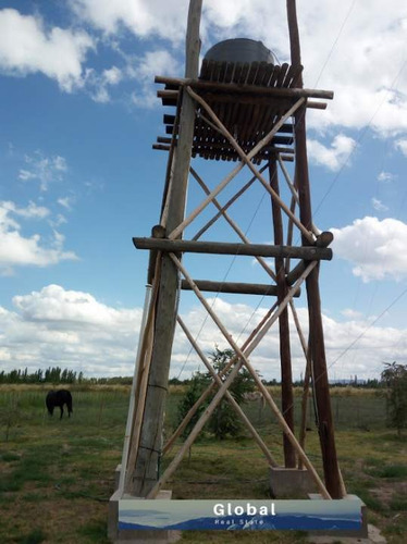 Imagen 21 de 26 de Excelente Finca De 31 Has En San Rafael , Mendoza Zona Vitivinícola Argentina