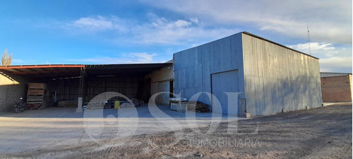 Imagen 21 de 30 de Galpón 1500 M2 En Allen