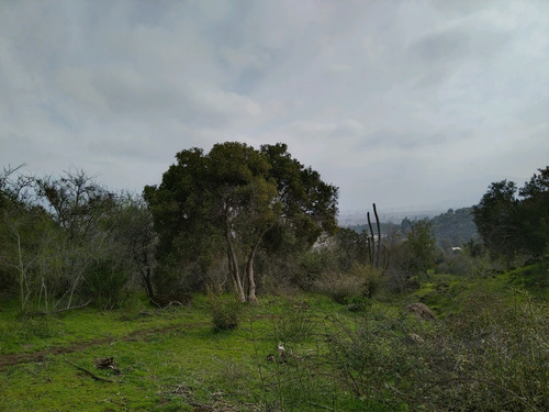 A 15 Minutos De San Fernando