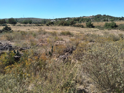 Terreno Coyotepec, Estado De México  Sup. 9,168 Mts