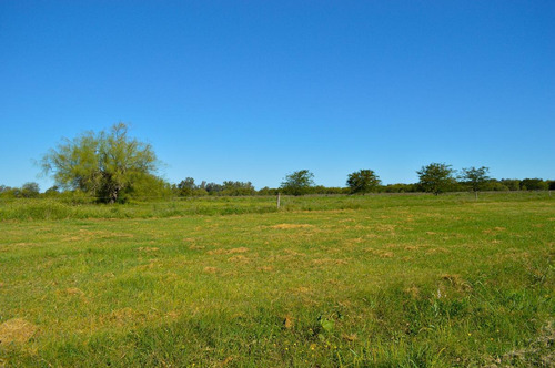 Imagen 2 de 15 de Lote En Venta En San Vicente Financiado