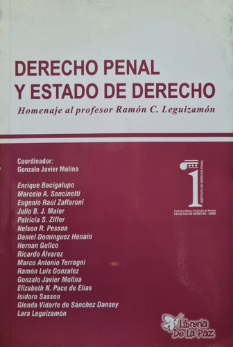 Derecho Penal Y Estado De Derecho Gonzalo Javier Molina