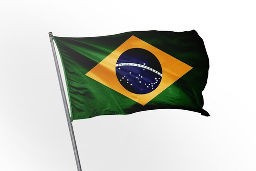 Kit 10 Bandeiras Do Brasil - 1,50x0,90mt Atacado