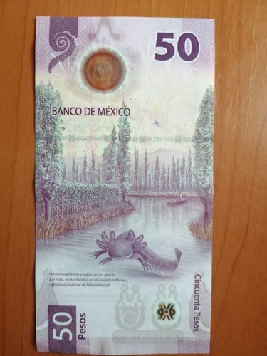 Billete De 50 Pesos Mexicanos
