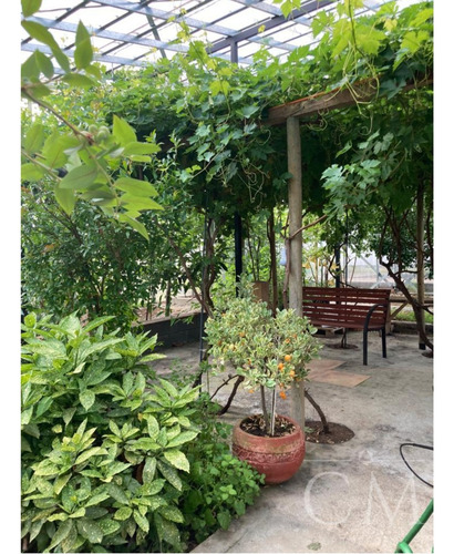 Casa En Lomas Panoramicas