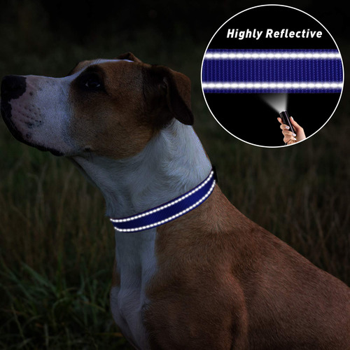 Collar Para Perro Tagme De Nailon Reflectante Ajustable Clás