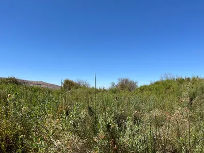Agrícola en venta