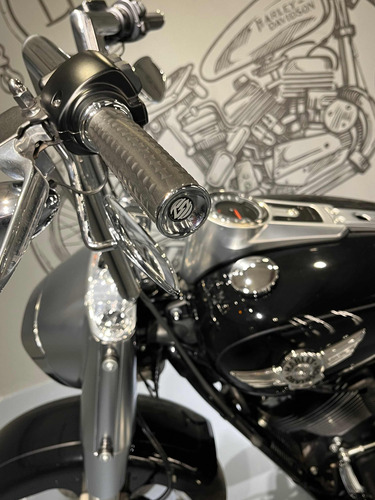 Imagen 13 de 20 de Harley Davidson Fat Boy 114 Df_motorcycles