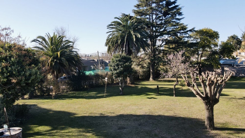 Imagen 9 de 16 de Venta | Quinta En S.a. De Areco